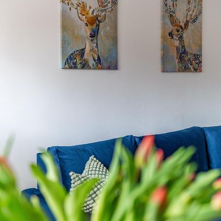 Apartament Lisowski Centrum Zakopane Buitenkant foto
